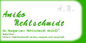 aniko mehlschmidt business card